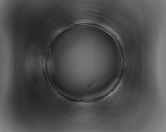 X0000100920945200806241341