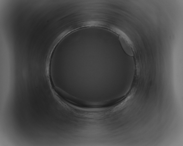 X0000100920946200806241341