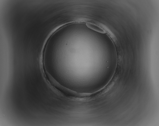 X0000100920948200806241341