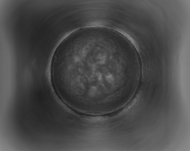 X0000100920949200806241341