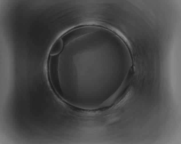 X0000100920951200806241341