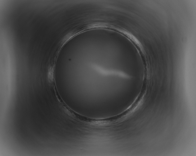X0000100920953200806241341
