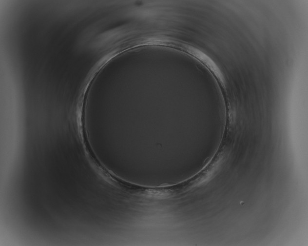 X0000100920954200806241341