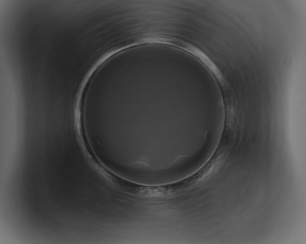 X0000100920955200806241341
