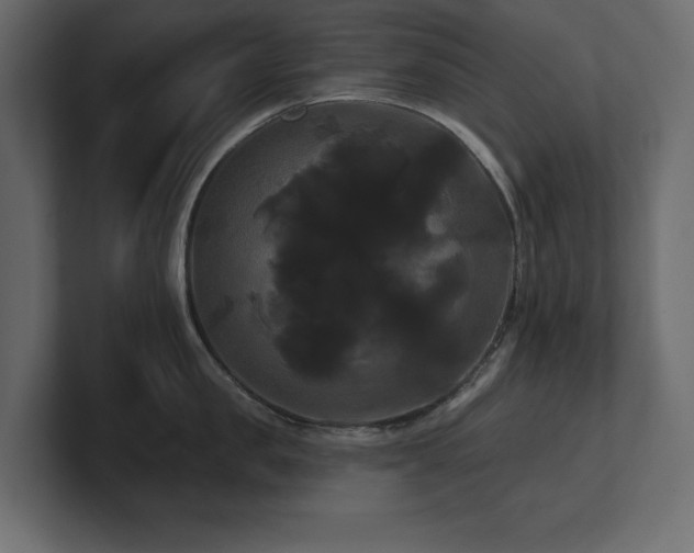 X0000100920957200806241341