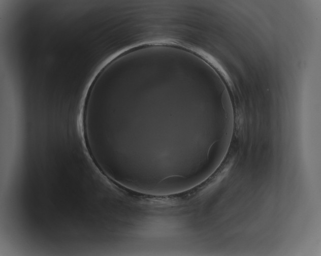 X0000100920959200806241341