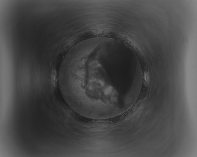 X0000100920963200806241341