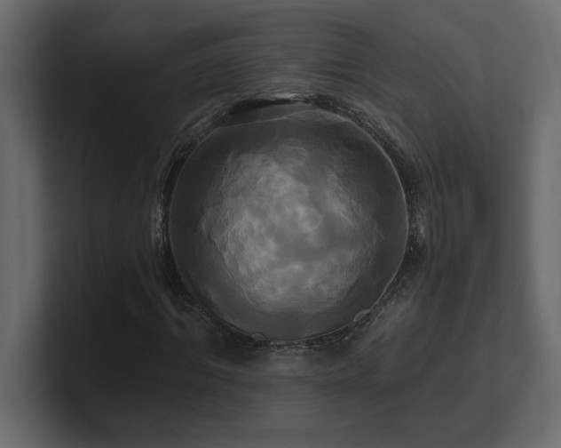 X0000100920964200806241341