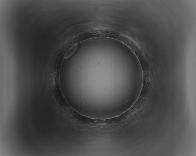 X0000100920965200806241341