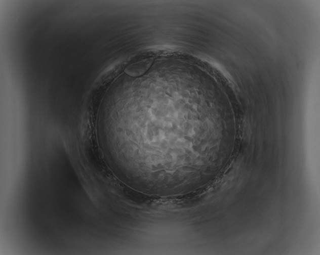 X0000100920967200806241341