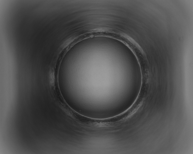 X0000100920969200806241341