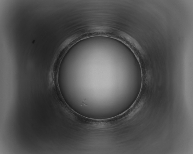 X0000100920970200806241341