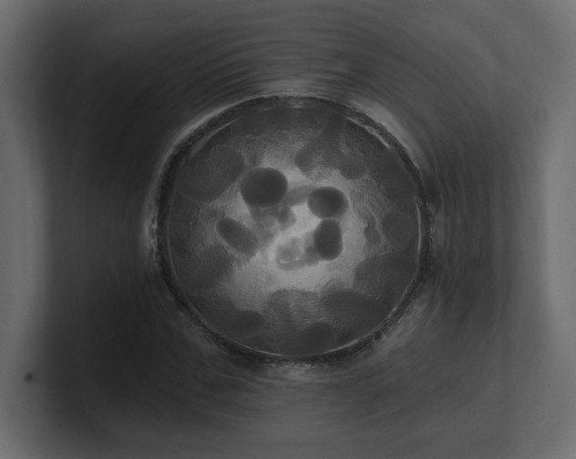 X0000100920971200806241341