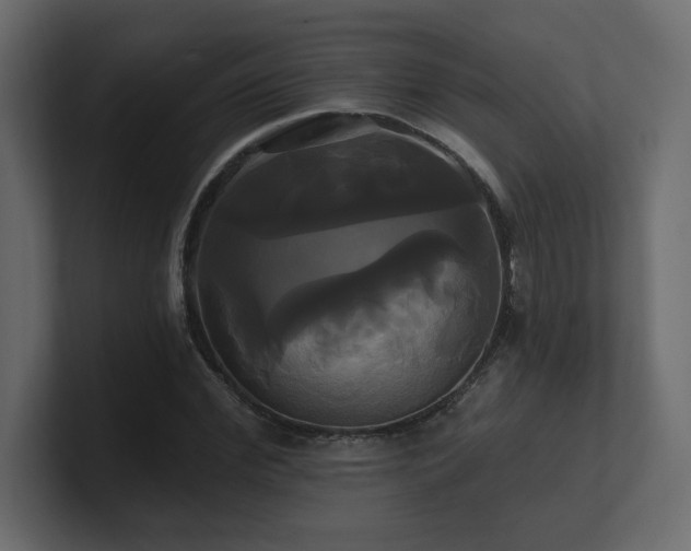X0000100920972200806241341