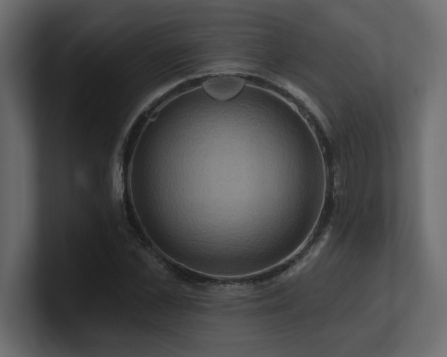 X0000100920973200806241341