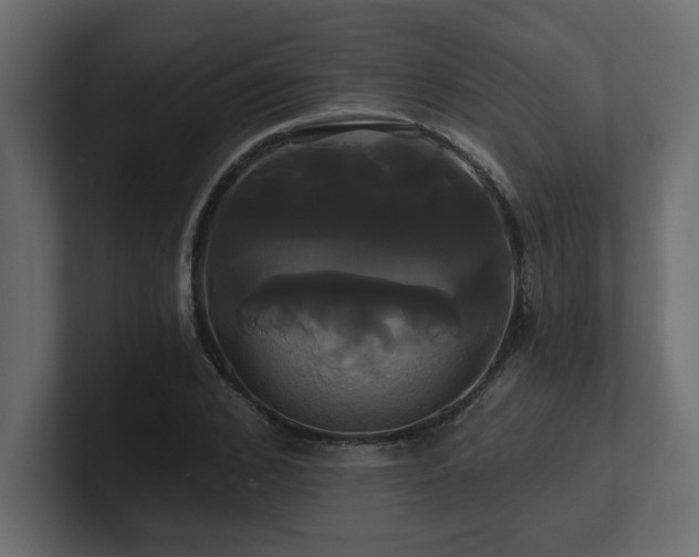 X0000100920976200806241341