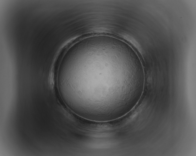 X0000100920979200806241341