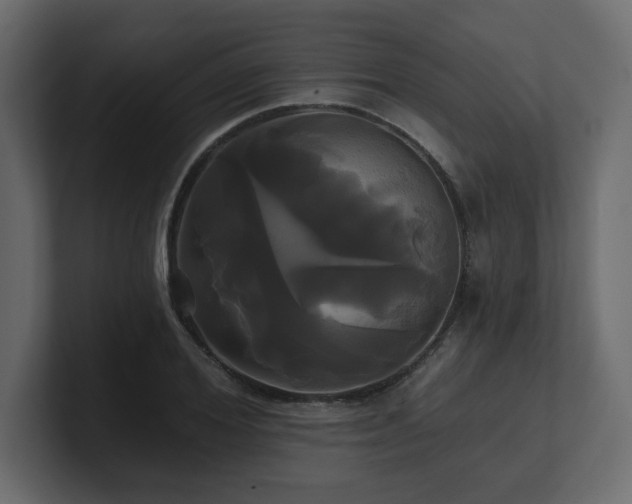 X0000100920980200806241341