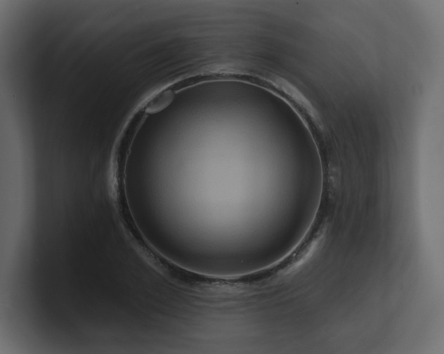 X0000100920981200806241341