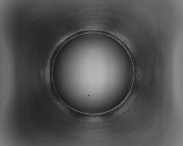 X0000100920982200806241341