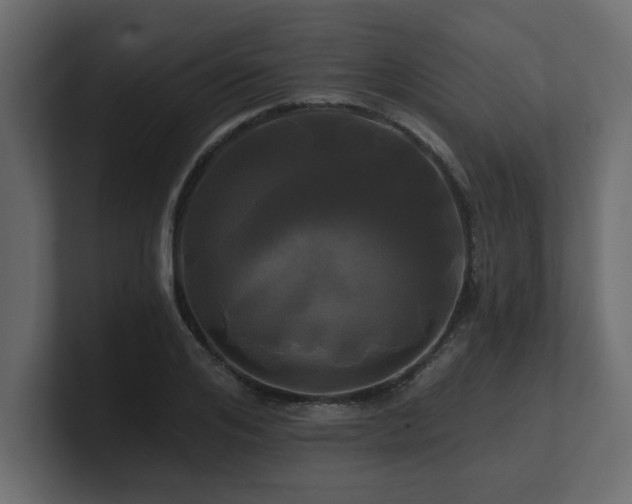 X0000100920984200806241341