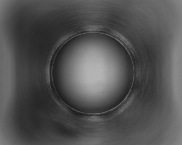 X0000100920986200806241340