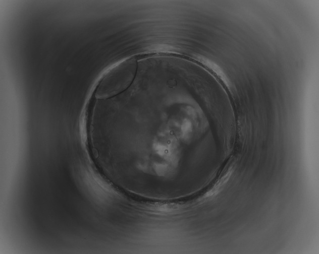 X0000100920987200806241340