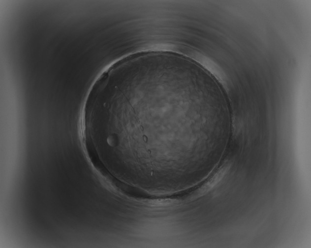 X0000100920988200806241340