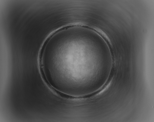 X0000100920989200806241340