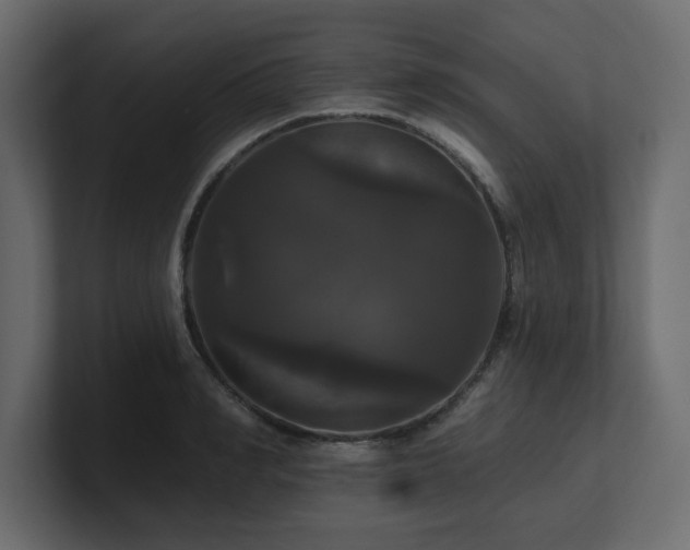 X0000100920990200806241340