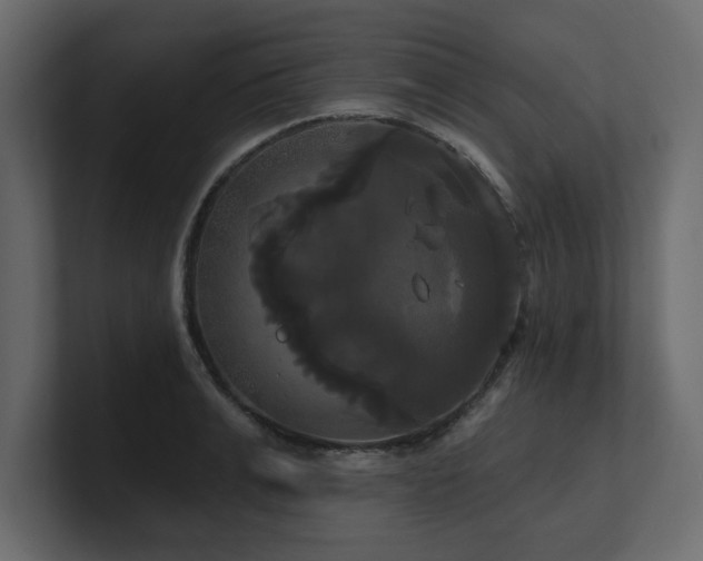 X0000100920991200806241340