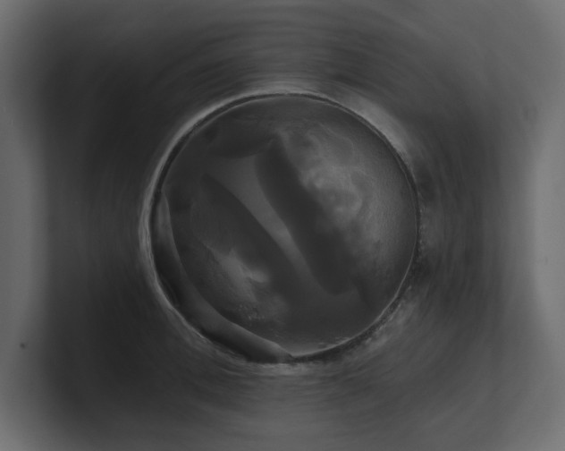 X0000100920996200806241340