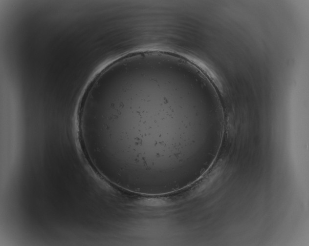 X0000100920998200806241340