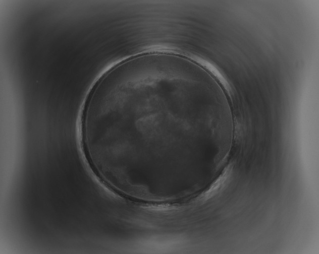 X0000100920999200806241340