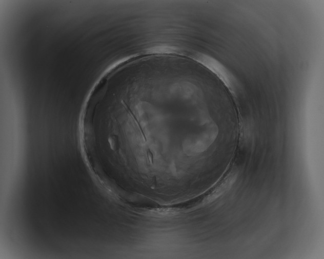 X0000100921000200806241340
