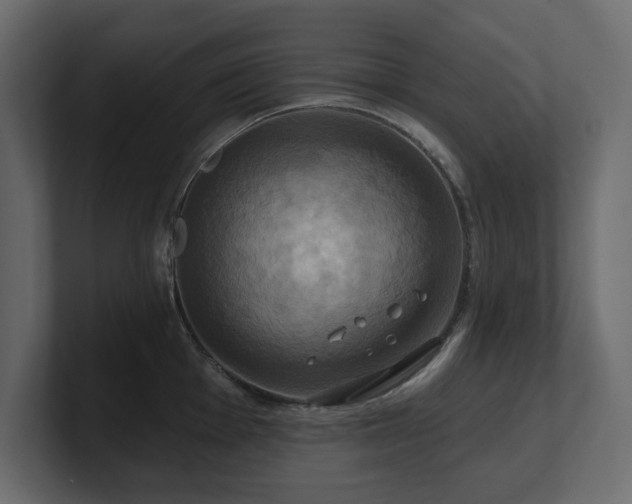 X0000100921001200806241340