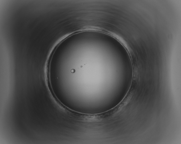 X0000100921003200806241340