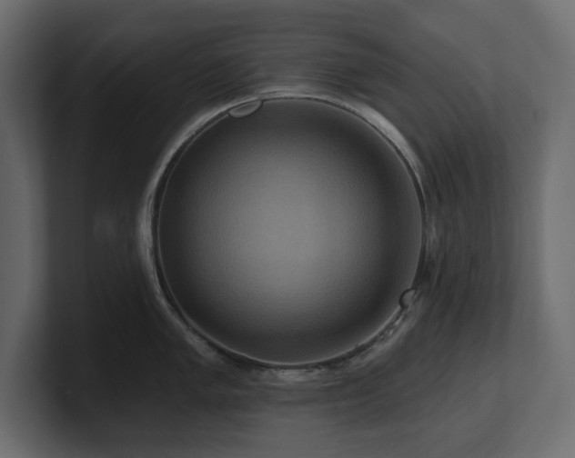 X0000100921005200806241340