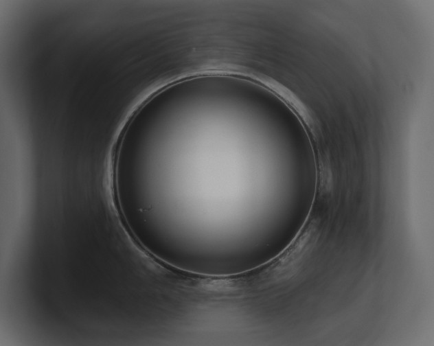 X0000100921006200806241340