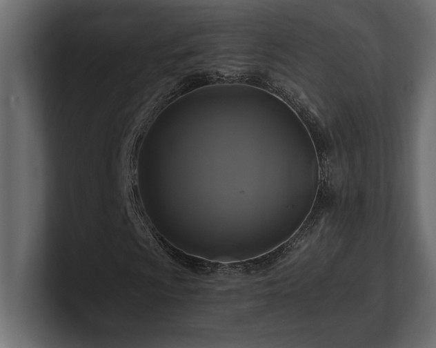 X0000100921009200806241340