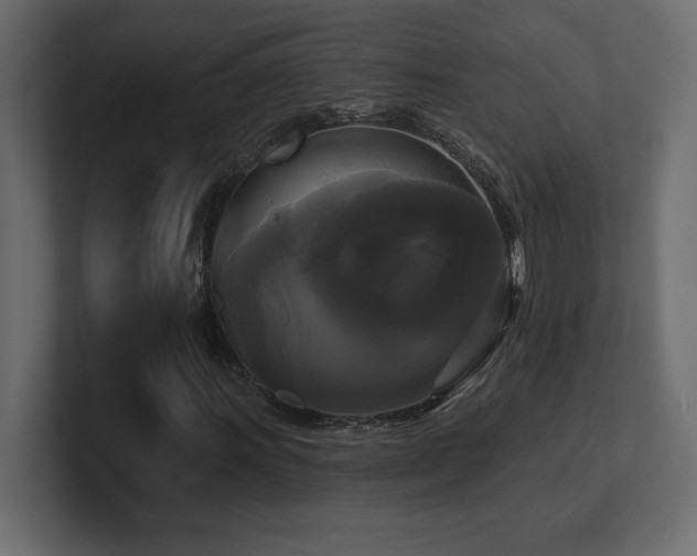X0000100921011200806241340