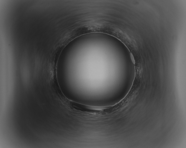 X0000100921012200806241340