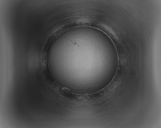 X0000100921015200806241340