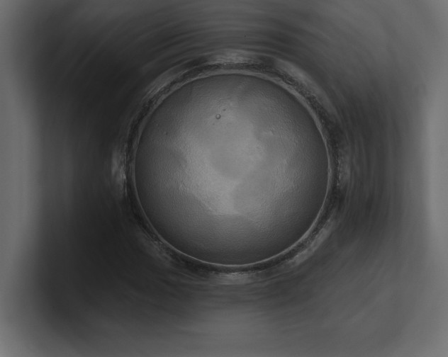 X0000100921017200806241340