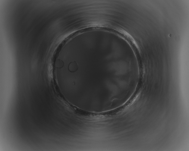 X0000100921019200806241340