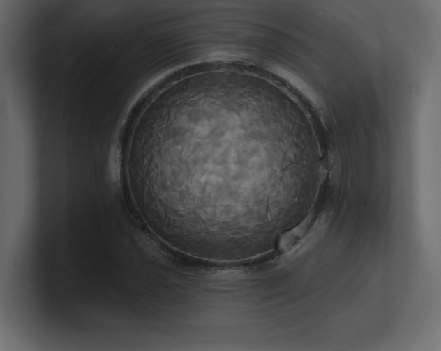 X0000100921021200806241340