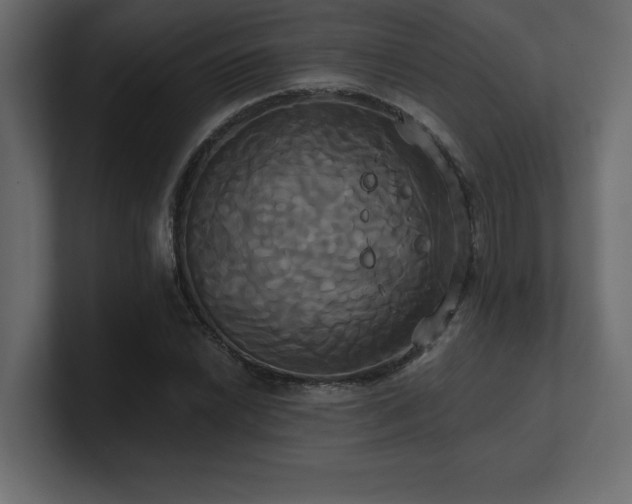 X0000100921022200806241340