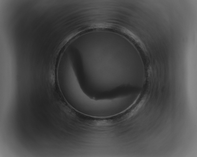 X0000100921025200806241340