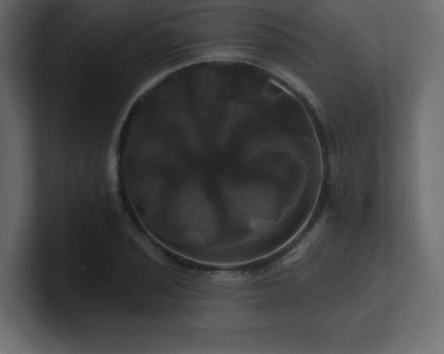 X0000100921029200806241340