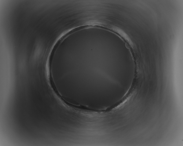 X0000100921032200806241340